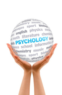 das Psychologiestudium